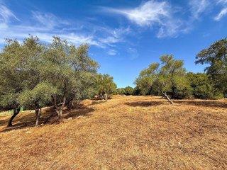 Solar en venta en Sotogrande Alto en San Roque