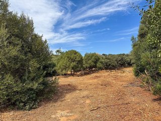 Solar en venta en Sotogrande Alto en San Roque