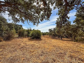 Solar en venta en Sotogrande Alto en San Roque