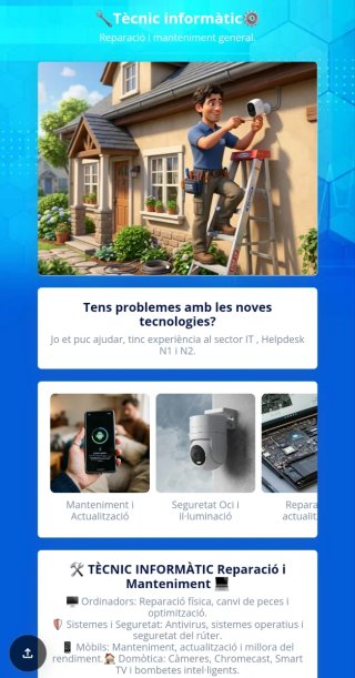 Técnico informático