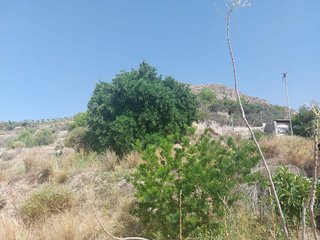 Casa rural en venta en Guajares (Los)