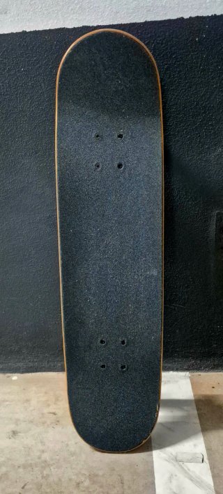 Skate con diseño de lobo