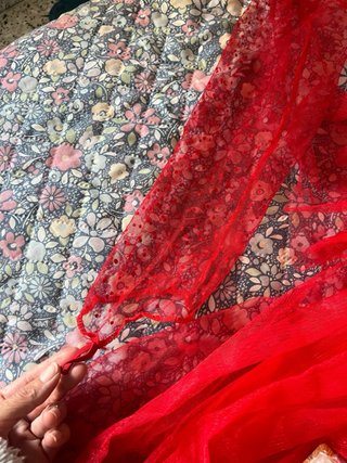 Disfraz de Novia Roja Partilandia