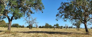 Terreno en venta en Campos