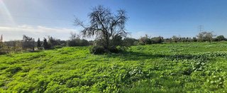 Terreno en venta en Campos