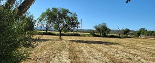 Terreno en venta en Campos
