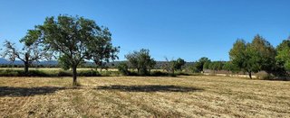 Terreno en venta en Campos