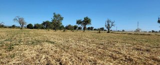 Terreno en venta en Campos