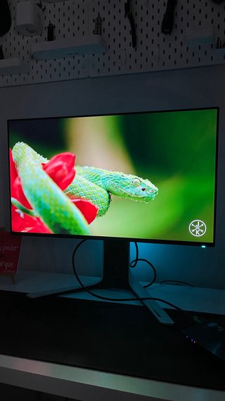Monitor Gaming Dell Alienware AW2721D 27 QHD 240Hz