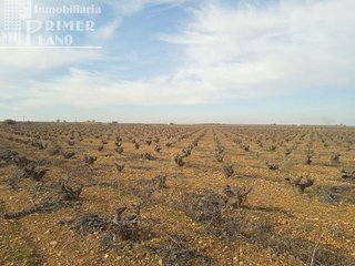 Terreno en venta en Socuéllamos