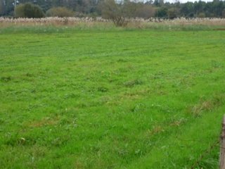 Terreno en venta en Bárcena de Cicero