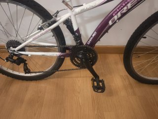 Bicicleta Orbea Oregon 24