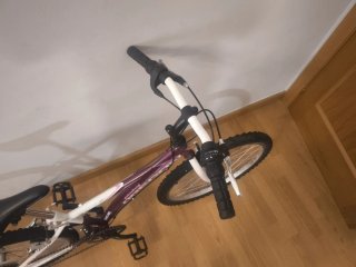 Bicicleta Orbea Oregon 24