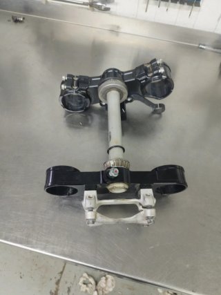 Tijas Beta RR Factory 2024