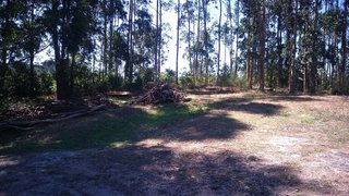 Solar en venta en Grove (O)