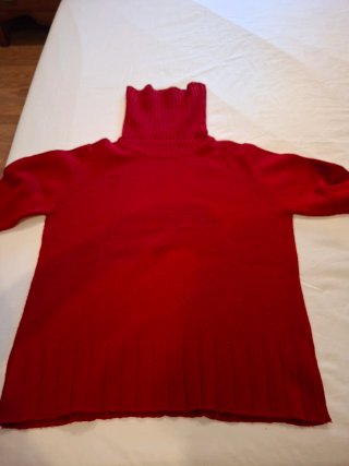 Jersey de Cuello Alto Rojo
