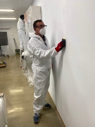 Pintor: Pintura de paredes, techos y grietas