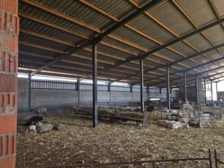 Casa rural en venta en Nuevo Parque en Ciudad Real