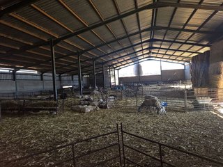 Casa rural en venta en Nuevo Parque en Ciudad Real
