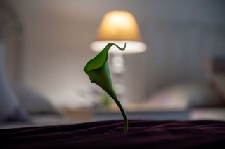 Piso en venta en Astillero (El)