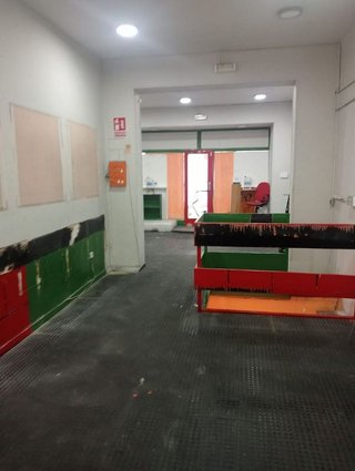 Fotografía 6
