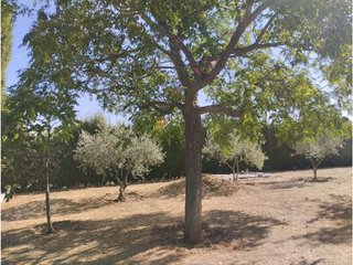 Chalet en venta en Almodóvar del Campo