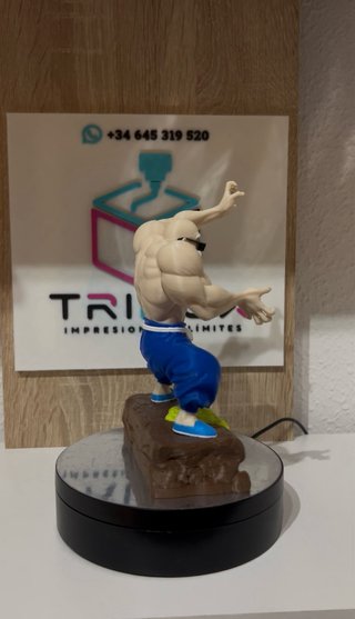 Figura 3D Muten Roshi Dragon Ball