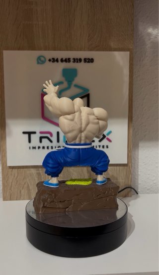 Figura 3D Muten Roshi Dragon Ball