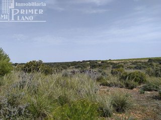 Casa rural en venta en Socuéllamos