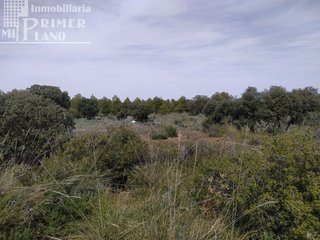 Casa rural en venta en Socuéllamos