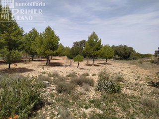Casa rural en venta en Socuéllamos