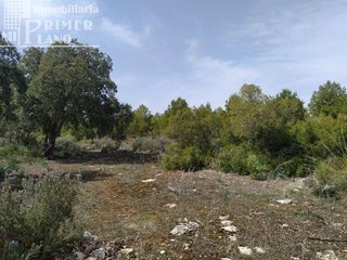Casa rural en venta en Socuéllamos