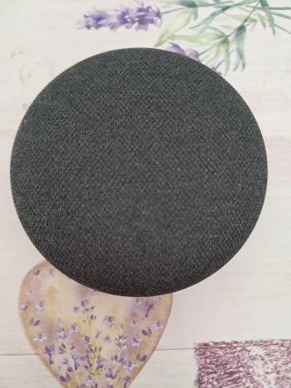 Google Home Mini