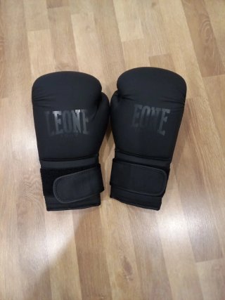 Guantes de Boxeo Leone 1947