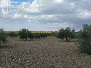 Solar en venta en Argamasilla de Alba