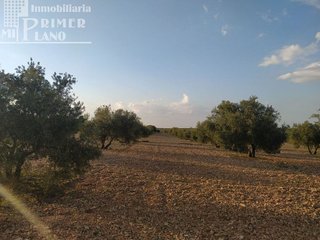 Solar en venta en Argamasilla de Alba