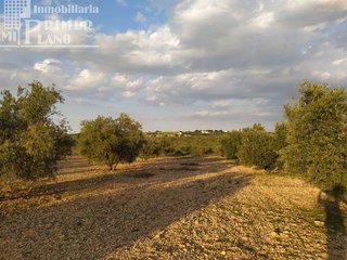 Solar en venta en Argamasilla de Alba
