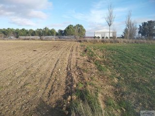Terreno en venta en Campo de Peñaranda (El)