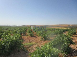 Casa rural en venta en Zona Paseo de la Estación - Calle Cristo en Valdepeñas