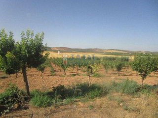 Casa rural en venta en Zona Paseo de la Estación - Calle Cristo en Valdepeñas