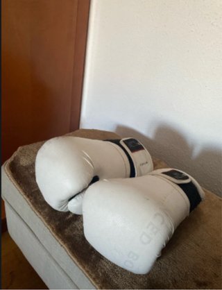 Guantes de boxeo Ergo 14oz