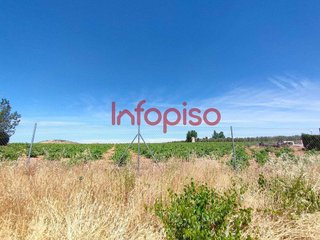 Terreno en venta en Centro en Valdepeñas