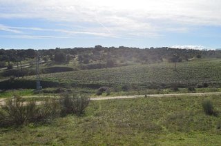 Terreno en venta en Alto de la Jabonería en Rozas de Madrid (Las)