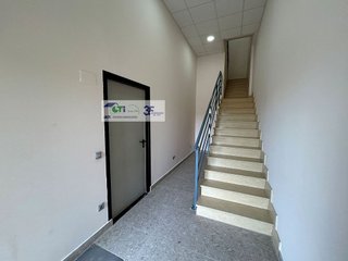 Fotografía 6