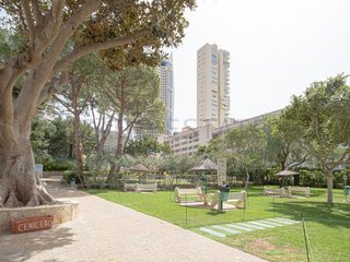 Fotografía 12