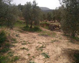 Terreno en venta en Villanueva del Trabuco
