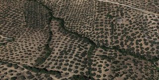 Terreno en venta en Villanueva del Trabuco