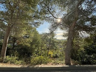 Fotografía 8
