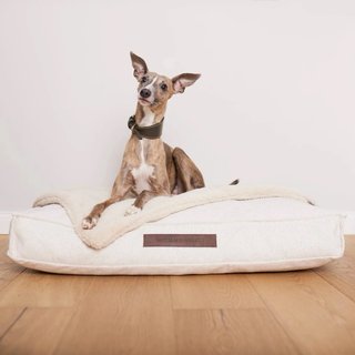 Cama Ortopédica de Diseño XL Perros William Walker