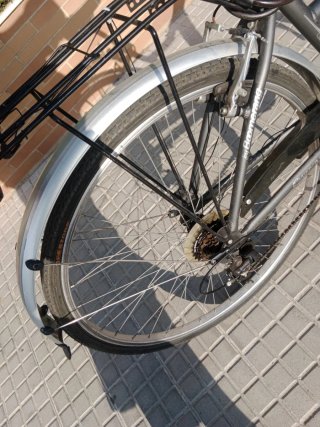 Bicicleta Urbana Gris